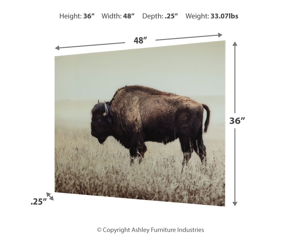 Brutus - Wall Art - Sepia